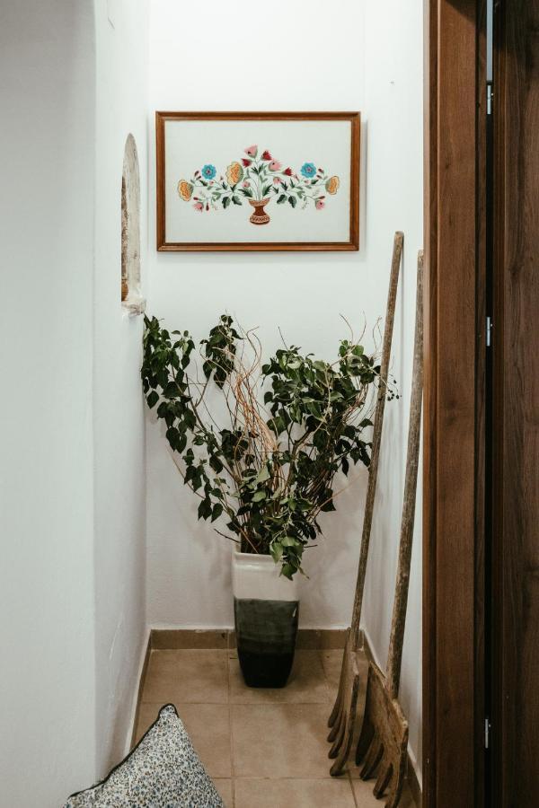 Вилла Casa Del Maestro Prines  Экстерьер фото